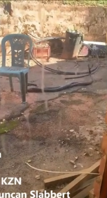 Kinh hãi 2 con rắn mamba đen khổng lồ đánh nhau